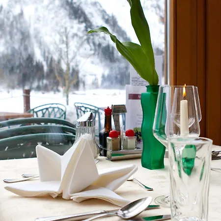 Hotel Klingler מלון 3*